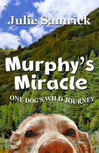 Book Cover: Murphy's Miracle - One Dog's Wild Journey