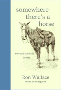 Book Cover: Somewhere, There's a Horse